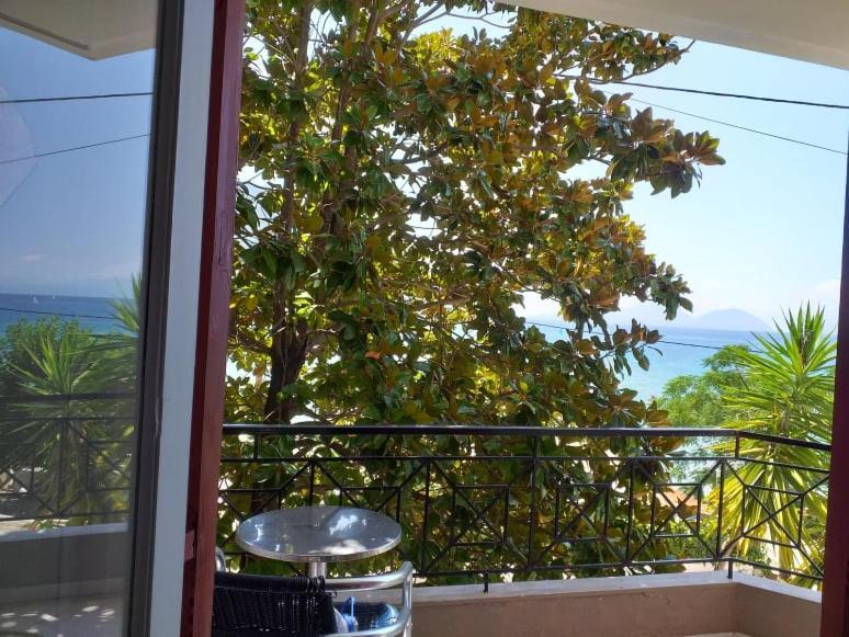 Altina Sea View Apartments Vasilikí Zewnętrze zdjęcie