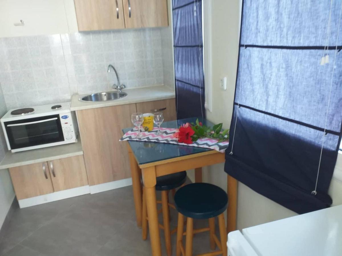 Altina Sea View Apartments Vasilikí Zewnętrze zdjęcie
